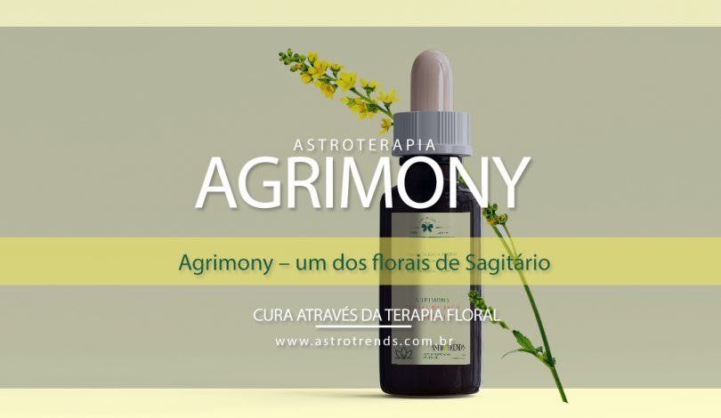 Agrimony – um dos florais de Sagitário